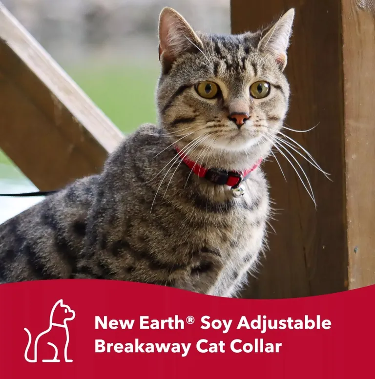 Coastal Pet New Earth Soy Breakaway Cat Collar Indigo Photo 2