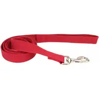 Photo of Coastal Pet New Earth Soy Dog Lead Cranberry Red