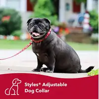 Photo of Coastal Pet Styles Adjustable Dog Collar Red Bones