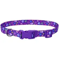 Photo of Coastal Pet Styles Adjustable Dog Collar Special Paws Purple