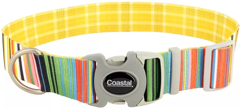 Coastal Pet Sublime Adjustable Dog Collar Gold Stripes Photo 1