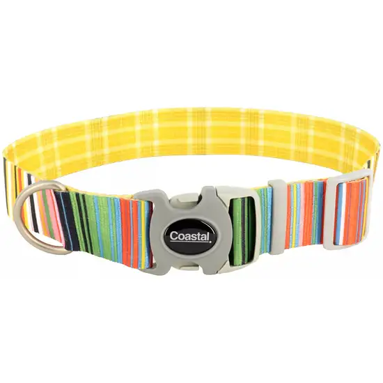 Coastal Pet Sublime Adjustable Dog Collar Gold Stripes Photo 1
