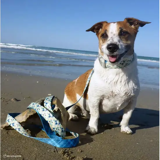 Coastal Pet Sublime Adjustable Dog Collar Gold Stripes Photo 2
