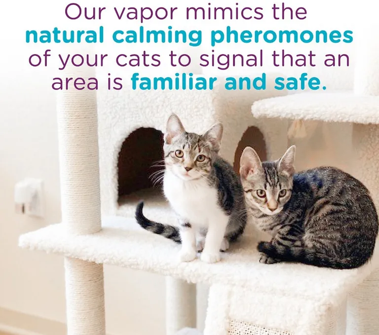 Comfort Zone Multi-Cat Diffuser Refills For Cats and Kittens Photo 5