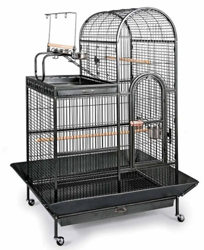 Deluxe Parrot Dometop Cage with Playtop Photo 1