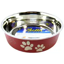 Dog Bowls and Dishes
