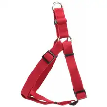 Dog Harnesses, Collars and Leads