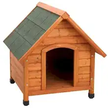 Dog Other