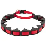 Dog Training Collars Photo