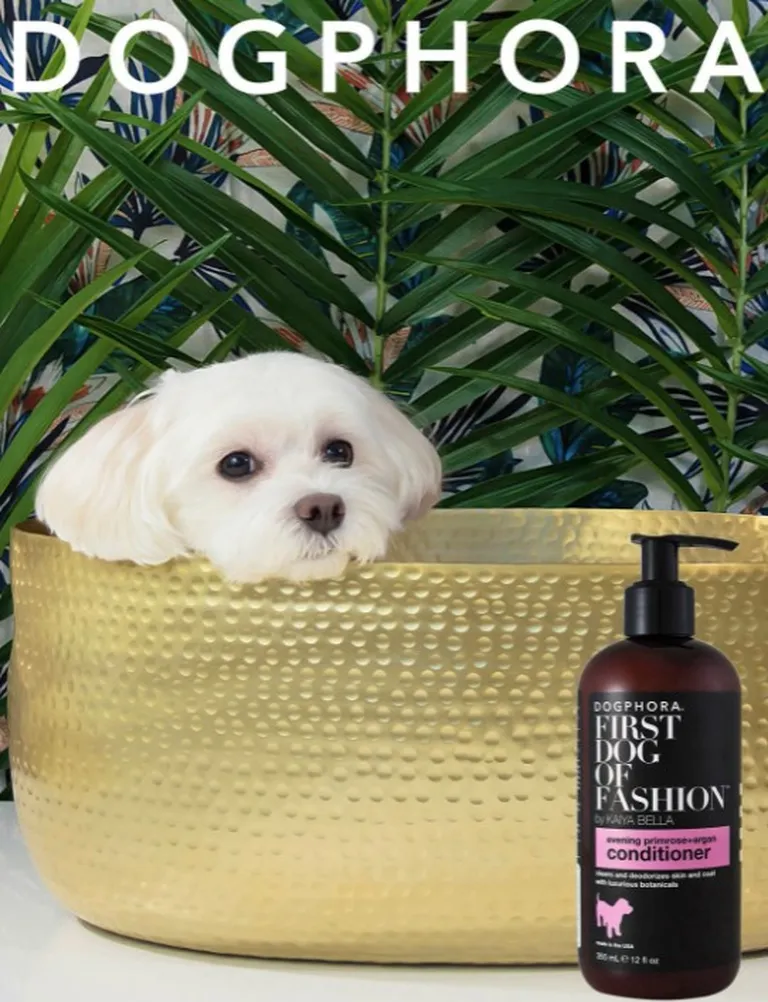 Dogphora First Dog of Fashion Conditioner Photo 3