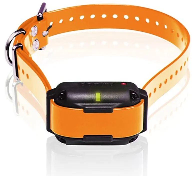Dogtra Edge RT Trainer Extra Collar - Orange Photo 2
