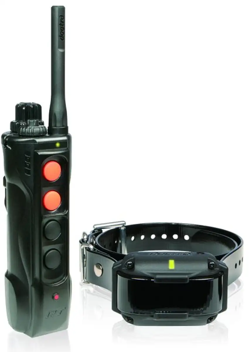 Dogtra Edge RT Trainer Photo 1