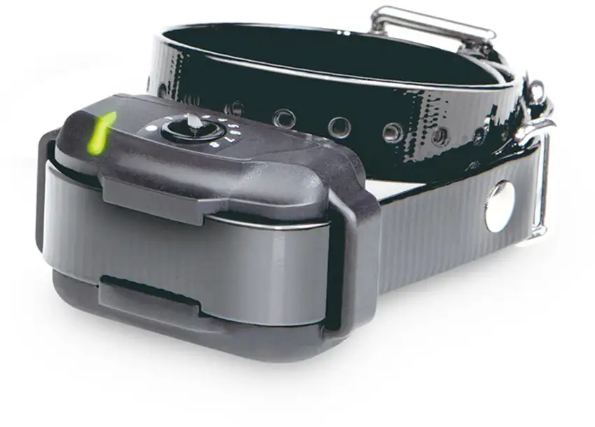 Dogtra In-Ground Dog Fence Collar Photo 1