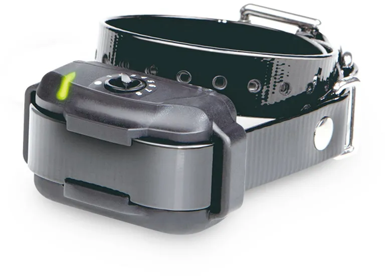 Dogtra In-Ground Dog Fence Collar Photo 1