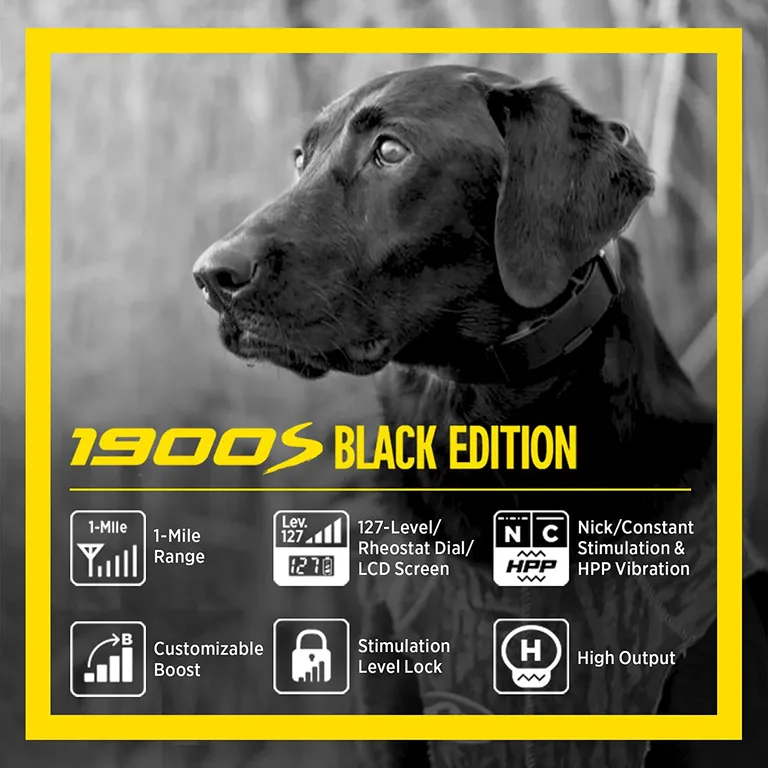 Dogtra 1900S Black Boost & Lock E-Collar Remote Dog Trainer 1-Mile Range Photo 3