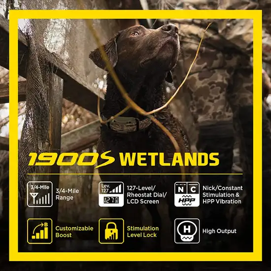 Dogtra 1900S Wetlands Boost & Lock Remote Dog Training E-Collar Photo 4