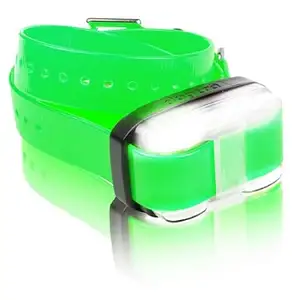 Photo of EDGE 1 Mile Extra Collar Green