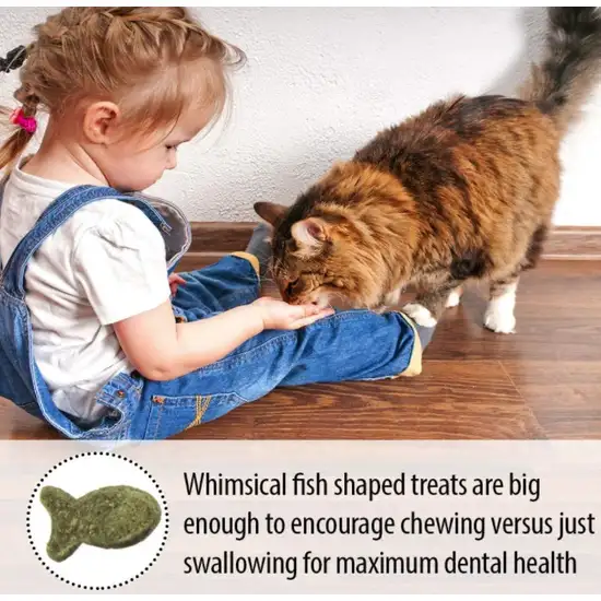 Emerald Pet Feline Dental Treats Catnip Flavor Photo 7