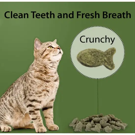 Emerald Pet Feline Dental Treats Catnip Flavor Photo 5