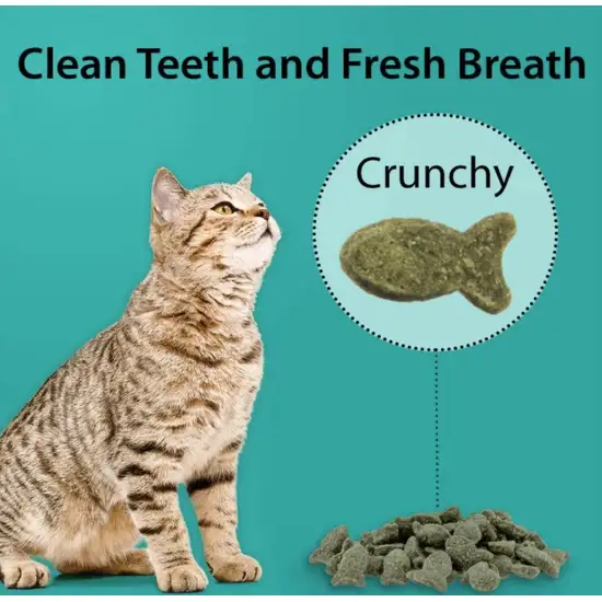 Emerald Pet Feline Dental Treats Ocean Fish Flavor Photo 5