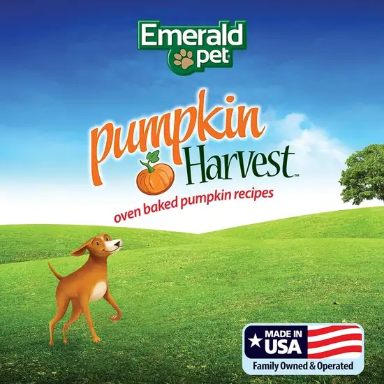Emerald Pet Pumpkin Harvest Mini Trainers Chewy Dog Treats Photo 3