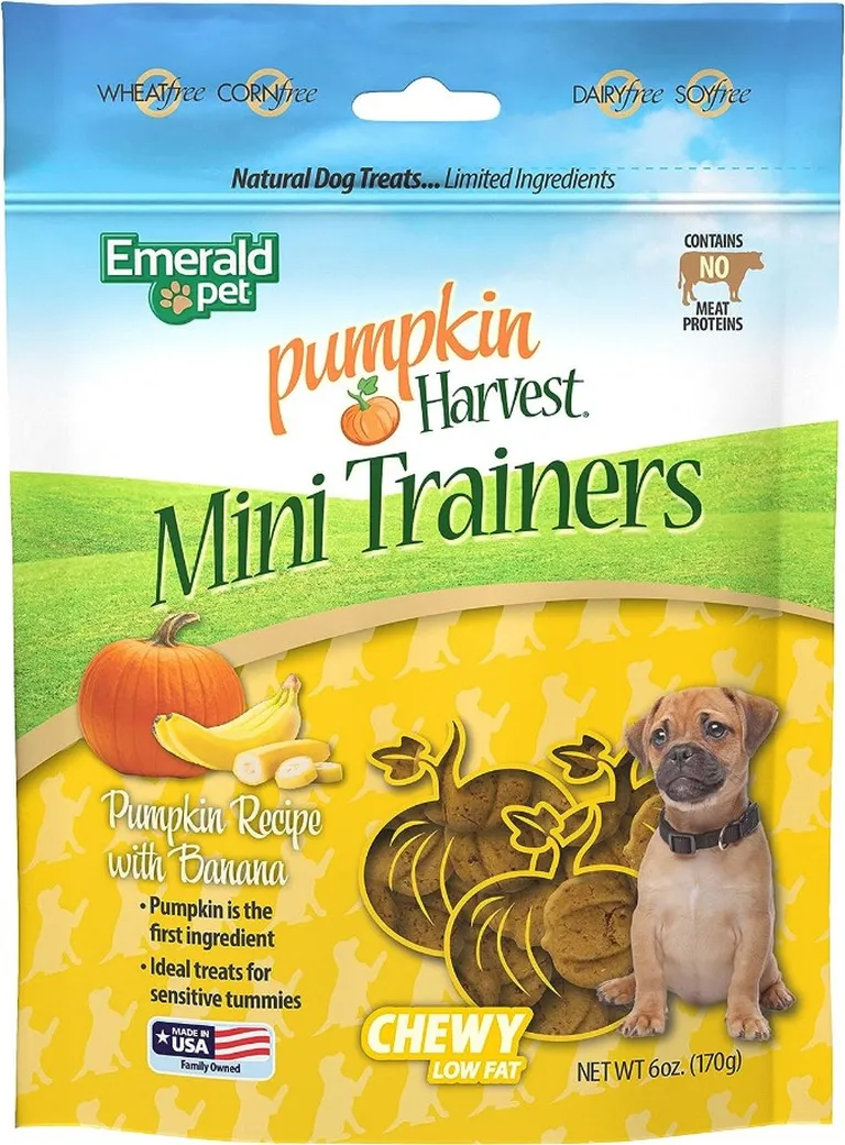 Emerald Pet Pumpkin Harvest Mini Trainers with Banana Chewy Dog Treats Photo 1