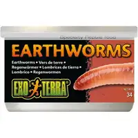 Photo of Exo Terra Canned Earthworms Specialty Reptile Food