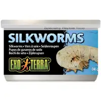 Photo of Exo Terra Canned Silkworms Specialty Reptile Food