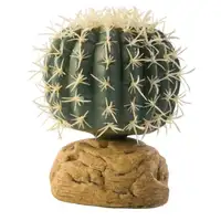 Photo of Exo-Terra Desert Barrel Cactus Terrarium Plant