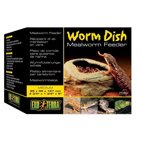 Exo Terra Mealworm Feeder Dish Medium Photo 1