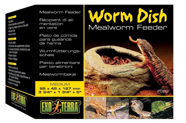 Exo Terra Mealworm Feeder Dish Medium Photo 2
