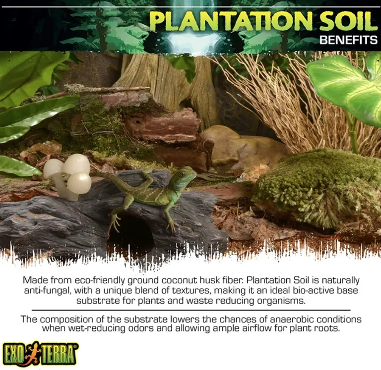 Exo Terra Plantation Soil Reptile Substrate Photo 3