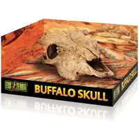 Photo of Exo Terra Terrarium Buffalo Skull Decoration