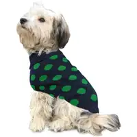 Photo of Fashion Pet Contrast Dot Dog Sweater Green