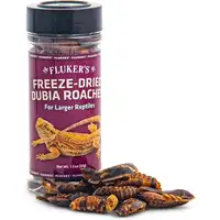 Photo of Flukers Freeze Dried Dubia Roaches for Reptiles