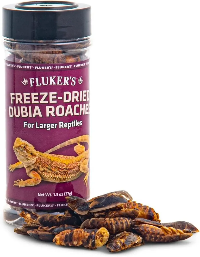 Flukers Freeze Dried Dubia Roaches for Reptiles Photo 1