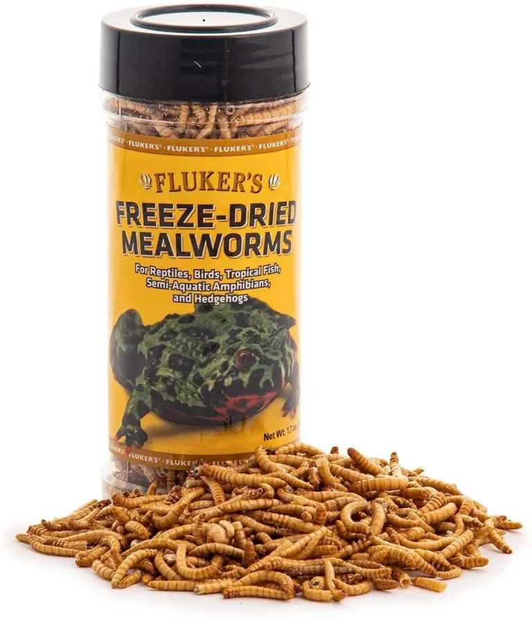 Flukers Freeze-Dried Mealworms for Reptiles, Birds, Tropical Fish, Amphibians and Hedgehogs Photo 1