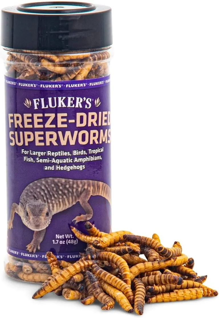 Flukers Freeze Dried Superworms for Reptiles Photo 1