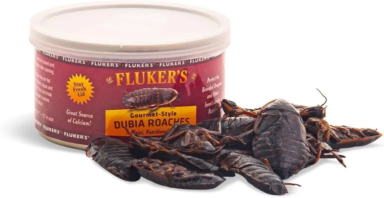 Flukers Gourmet Canned Dubia Roaches for Reptiles Photo 1