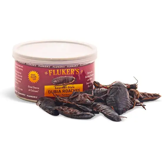 Flukers Gourmet Canned Dubia Roaches for Reptiles Photo 1