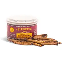Photo of Flukers Gourmet Canned Superworms for Reptiles