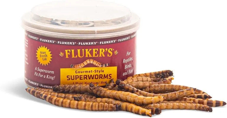 Flukers Gourmet Canned Superworms for Reptiles Photo 1