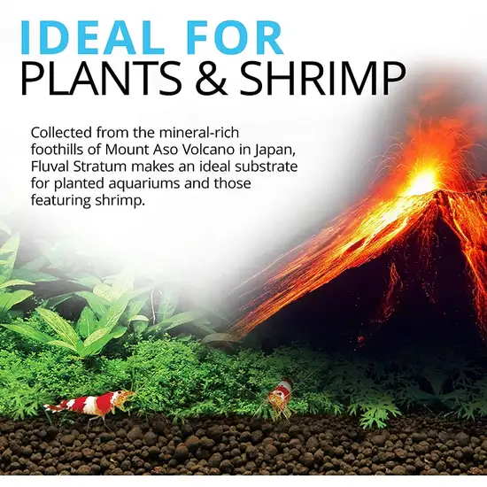 Fluval Plant and Shrimp Stratum Aquarium Substrate Photo 2