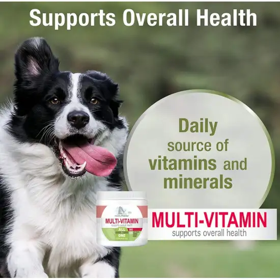Four Paws Healthy Promise Multi-Vitamin Supplement for Dogs Photo 6