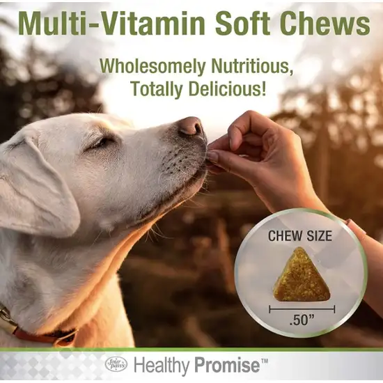 Four Paws Healthy Promise Multi-Vitamin Supplement for Dogs Photo 5
