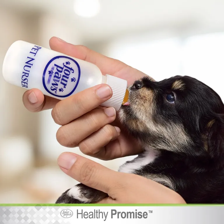 Four Paws Healthy Promise Pet Nurser Bottles Simulates a Familiar Feeding Process for Puppies, Kittens and Small Animals Photo 5