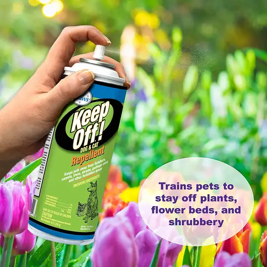 Four Paws Keep Off Indoor and Outdoor Repellent for Dogs and Cats Photo 3