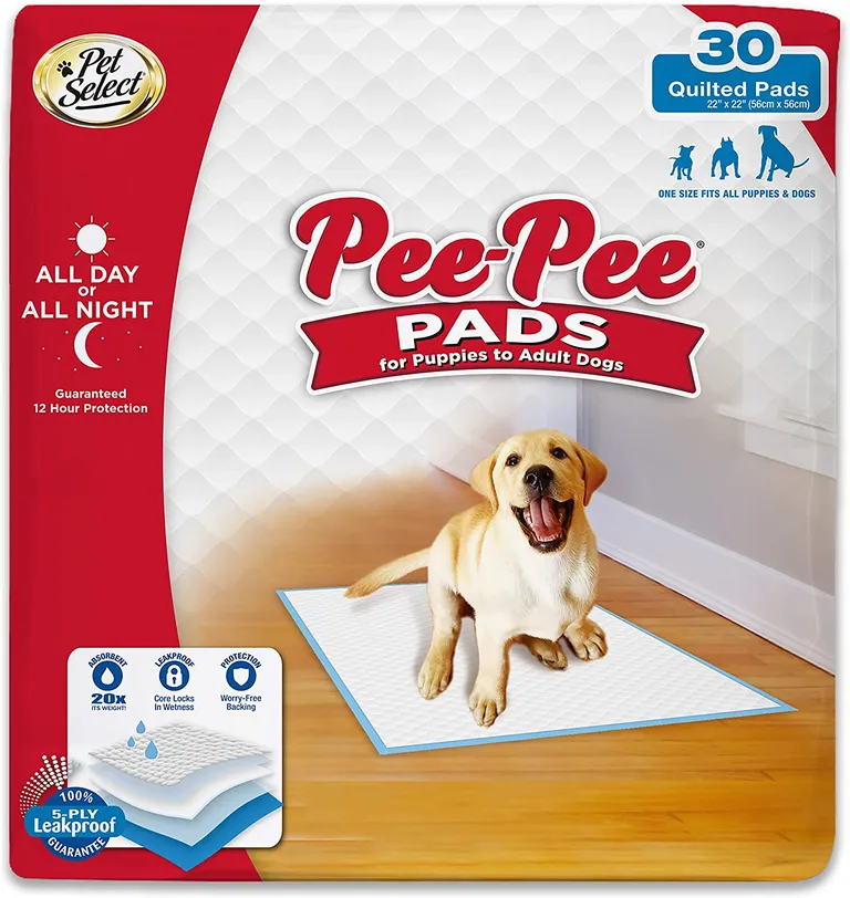 Four Paws Pee Pee Puppy Pads Standard Photo 1