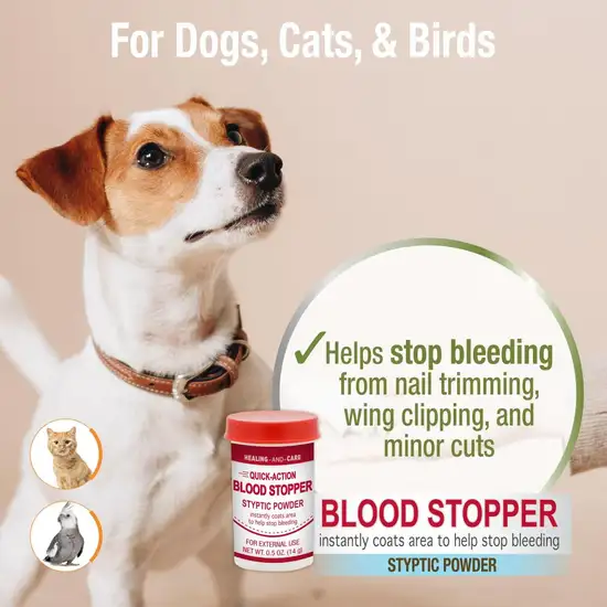 Four Paws Quick Blood Stopper Antiseptic Styptic Powder Photo 3