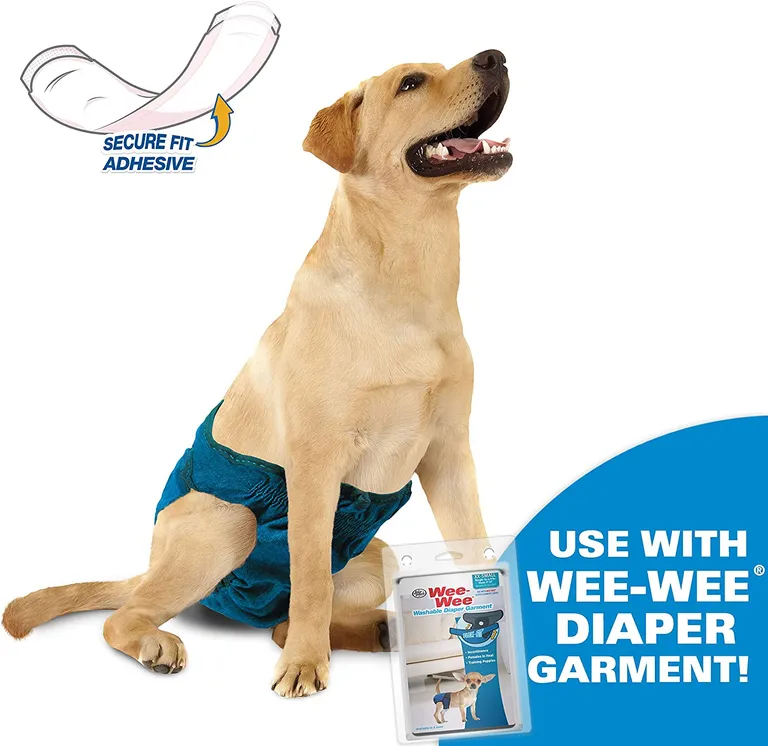 Four Paws Wee Wee Disposable Diaper Super Absorbent Liner Pads Photo 4